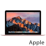 Ремонт Apple MacBook Mid в Перми